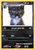 cattio