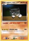 chats espion