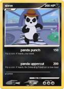 steve