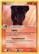 Lab