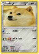 Doge