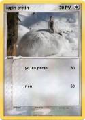 lapin crétin