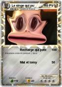 Le singe qui