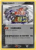 Super Goku 5