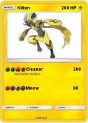 Kitten