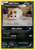 Gatto cinese
