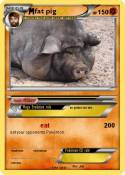 fat pig