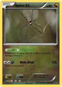 Spidor EX