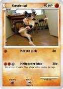 Karate cat