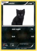 catster