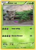 flower cat