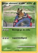 berger allemand