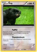 Pug