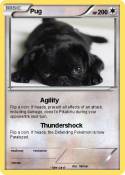 Pug