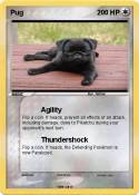 Pug