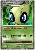 celbi mignon