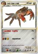 red claw crab