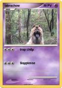 labrachow