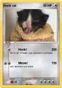 Honk cat