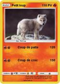 Petit loup