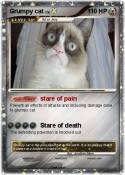 Grumpy cat