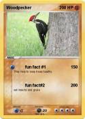 Woodpecker