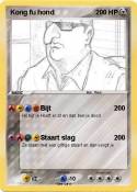 Kong fu hond