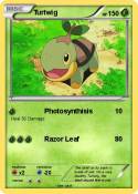 Turtwig