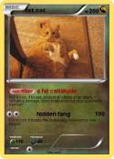 fat cat