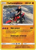 TheFlamingGoose