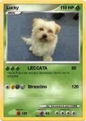 Lucky