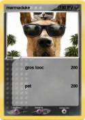 marmaduke