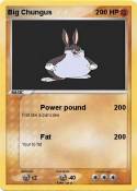Big Chungus