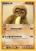 monkey cat