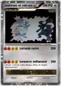 reshiram et zek