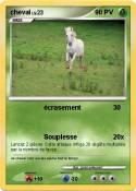 cheval
