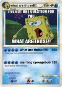 what are