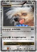 chien
