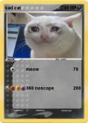 sad cat