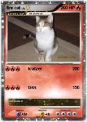 fire cat