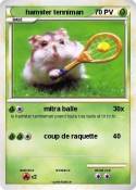 hamster