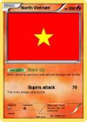 North Vietnam