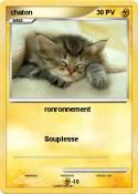 chaton
