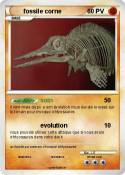 fossile corne