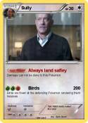 Sully