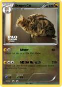Dragon Cat