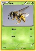 Wasp