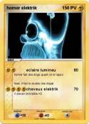 homer elektrik