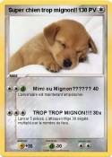 Super chien