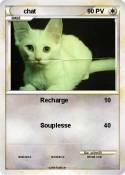 chat